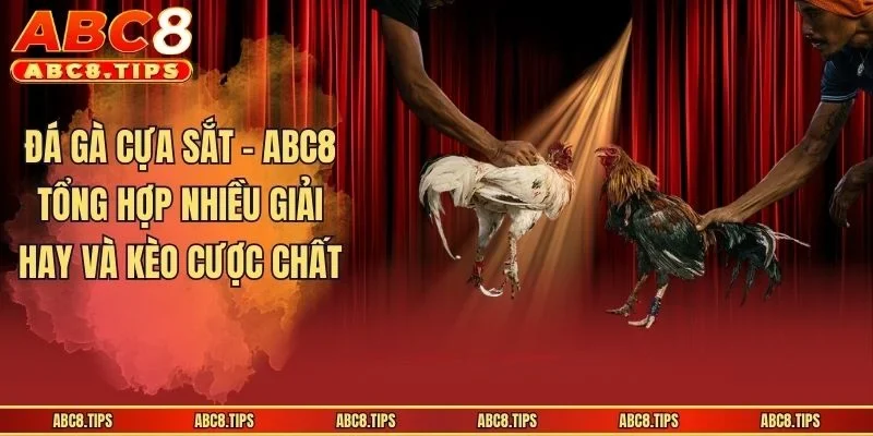 Đá Gà Cựa Sắt - ABC8 Tổng Hợp Nhiều Giải Hay Và Kèo Cược Chất