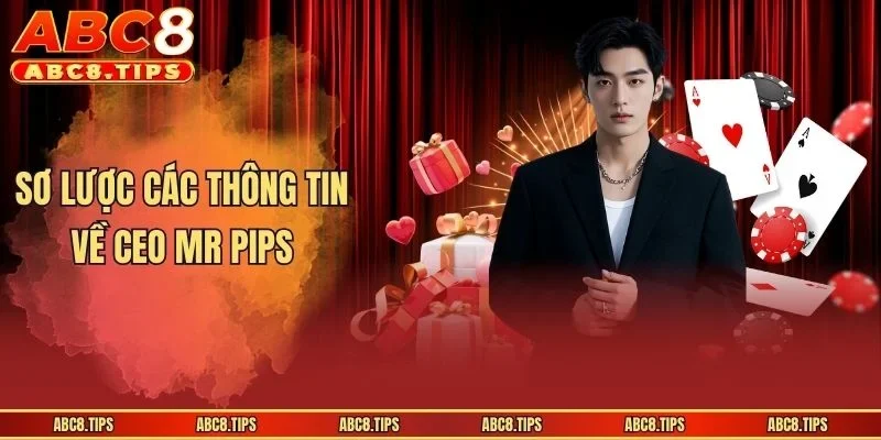 Sơ lược các thông tin về CEO Mr Pips